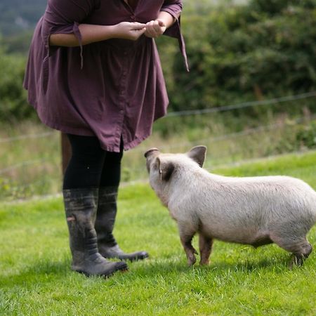 Cwtch Farm Bed & Breakfast Ystalyfera 外观 照片