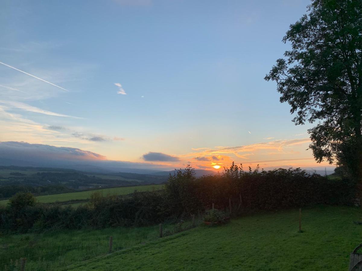 Cwtch Farm Bed & Breakfast Ystalyfera 外观 照片